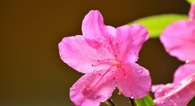 射手座|11月未来10天，三星座，财神最投缘，财运全面爆发，要暴富！