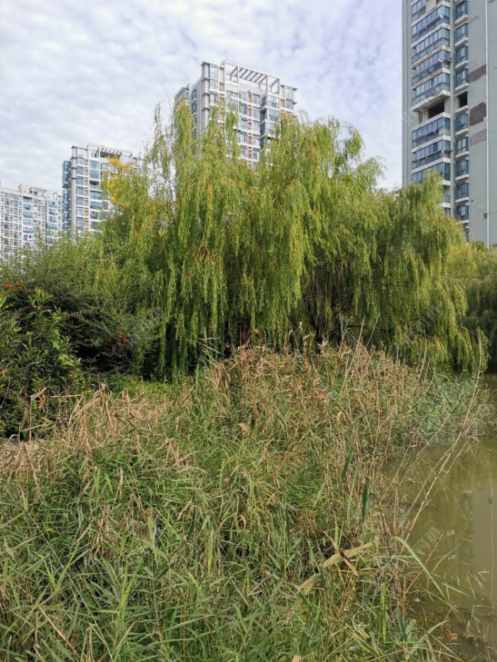 |又多一解毒好去处——门口湾子