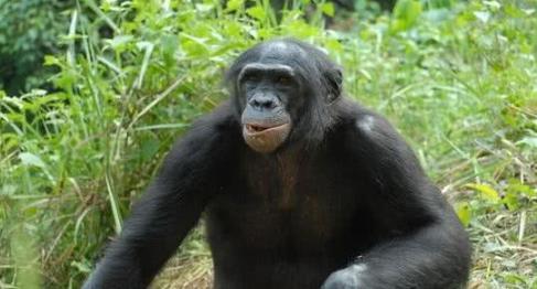 【华山】“金星女孩”光临地球？自称已有250岁高龄，她为何而来？