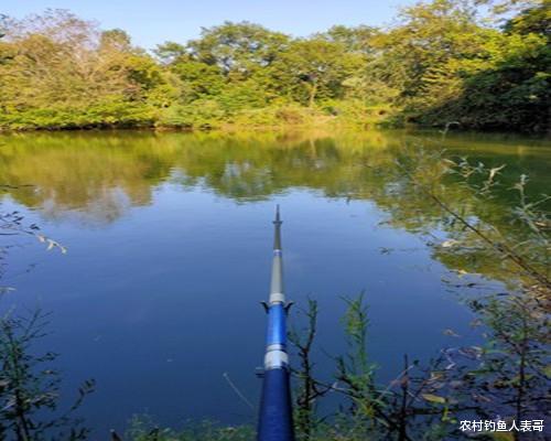 水库|声音会影响你野钓上鱼吗?看完这四点,明白声音会不会影响你野钓