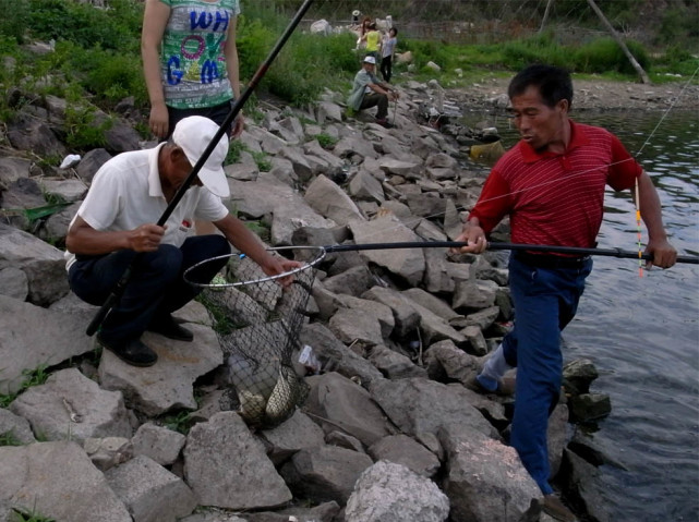 |“不让钓鱼，生活没有意思”你身边是否也有这样的钓友