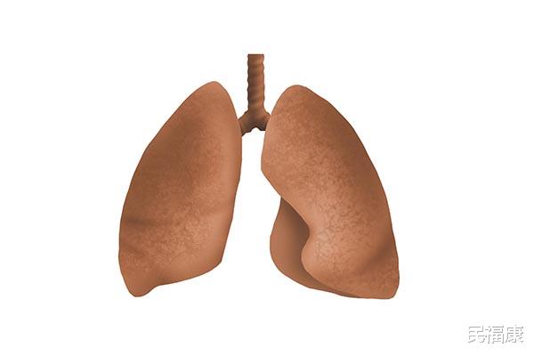 肺癌|肺好的人，手上大多没有3个“特征”，若你也是，肺养的还不赖