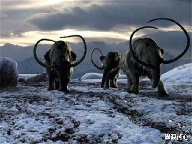 猛犸象▲俄罗斯挖出4万年前冰冻野马，体内还有血和尿液，专家试图将其复活