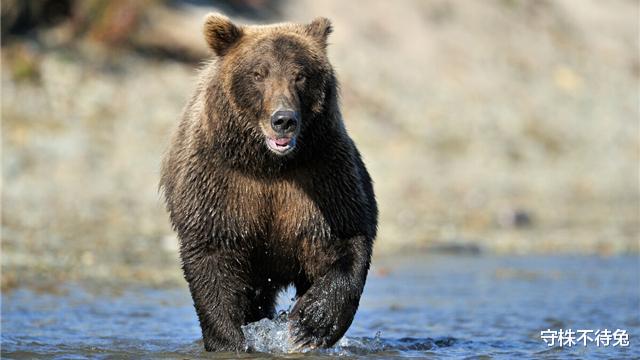 |19个冷知识：鲜为人知，但却真实存在于世界的奇怪知识