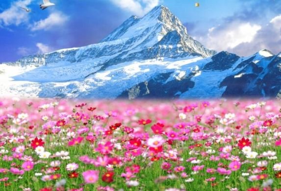 星座爱情观|8月底，好运来袭，添财添福，喜事接二连三，4属相大富大贵