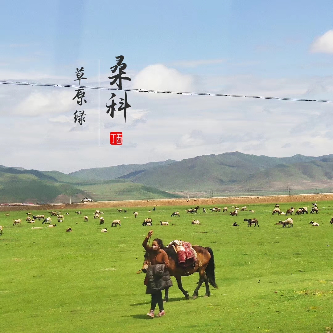 「甘南」我的甘南之旅，灵魂与自由都在这里。