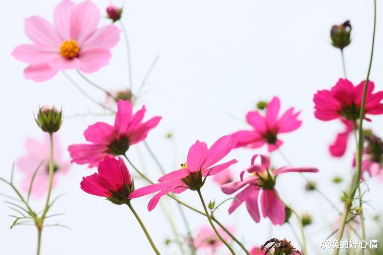 双子座|9月份起，桃花运，强势回归，前任回头续前缘，重归于好的4大星座