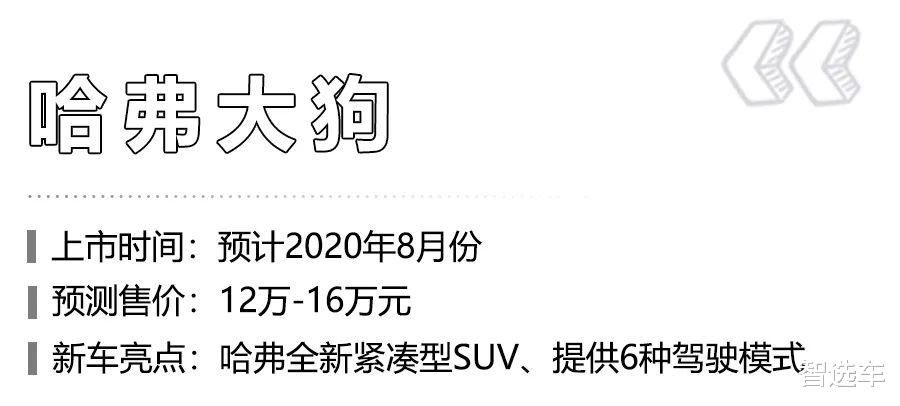 SUV■全新路虎卫士、哈弗大狗领衔，下半年即将上市的6款重磅SUV值得等