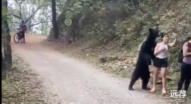 |心真大!黑熊悄悄靠近女游客闻头发!女子淡定来了张自拍!