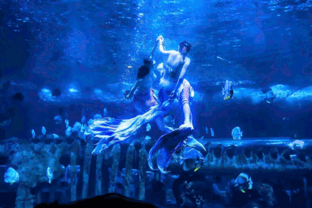 西安|PLUS版长假去哪耍？来曲江FUN肆嗨