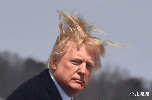 普京|世界各国领导人年轻时的照片，普京大帝好帅，希拉里美得不可方物