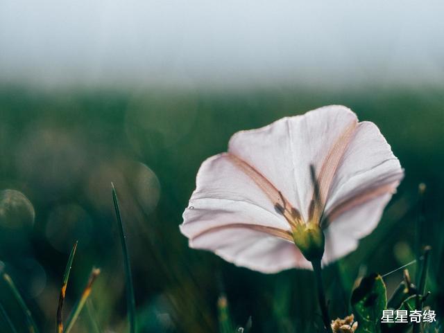 处女座▲尽量多联系，才能维持亲近感的四个星座