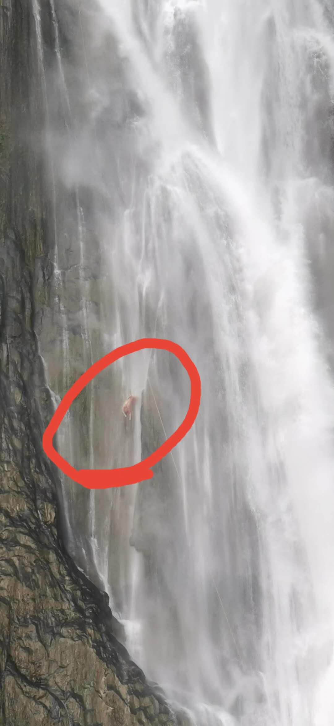 冰视频|两驴友网红瀑布瀑降遇险失去生命体征 男68岁女30岁