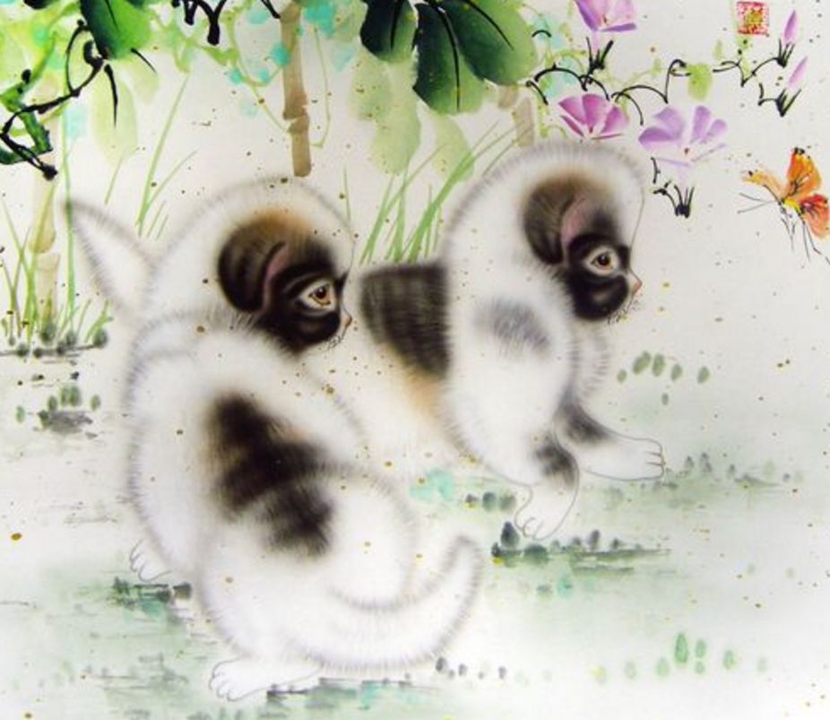 「属狗」家有属狗人“囍事”来了，请接收福气