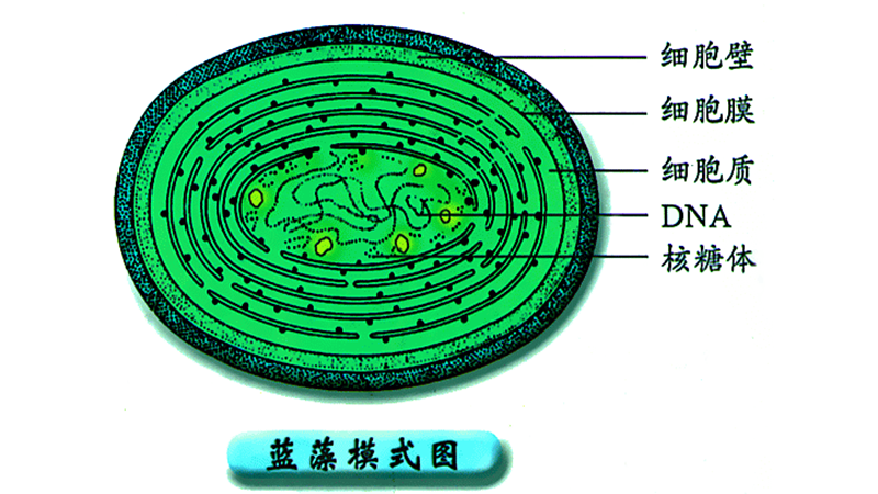 「外星文明」地球坐标已经暴露,外星人早在24亿年前就已经发现地球了?新观点过于科幻!