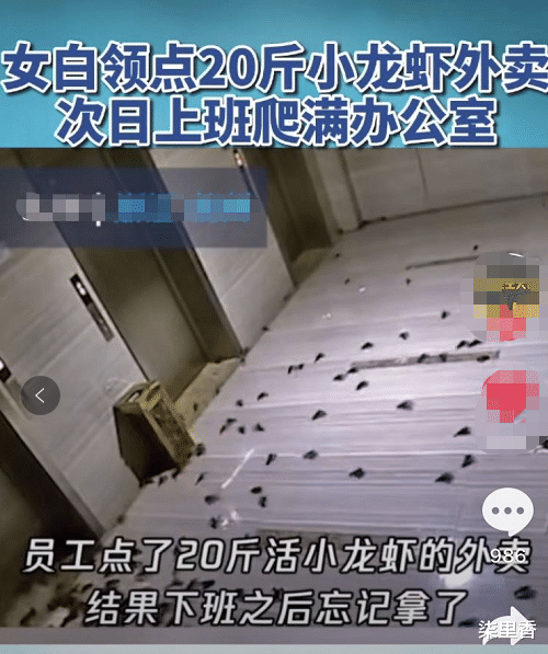 白领▲?女白领点20斤小龙虾忘记吃，结果第二天上班时，龙虾爬满了办公室