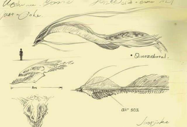 #科学家#震撼：传说中的龙曾经被美国捕获过？龙原来是这种未知生物！