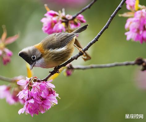 |哪些日子出生的人，志气不小，靠后天努力，站上事业巅峰