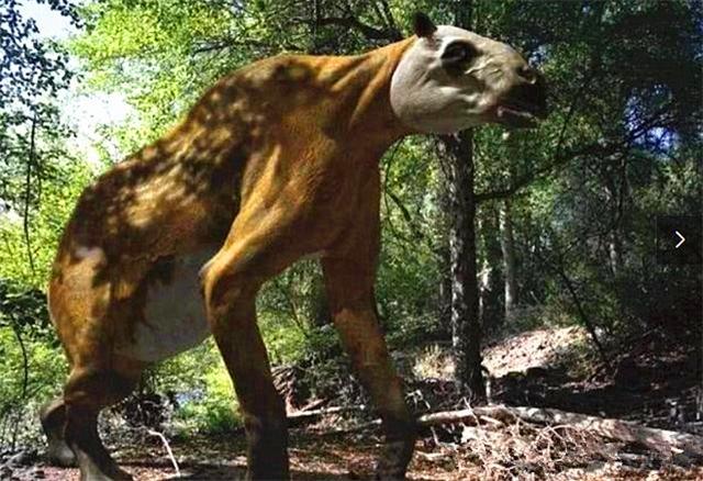 神农架|神农架出现凶残不明生物，驴头狼身，专家：是史前猛兽