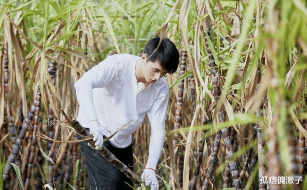 『许魏洲』“向往的生活”请对了嘉宾，真实不做作，没有故意煽情