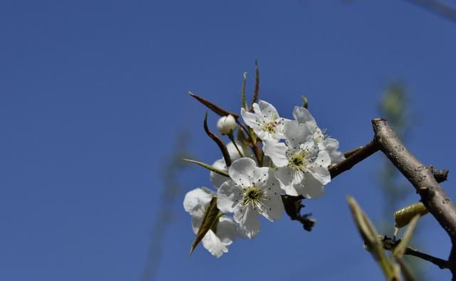 天赐良缘|十月下旬，天赐良缘，红鸾星亮起，脱单月老都拦不住的四生肖