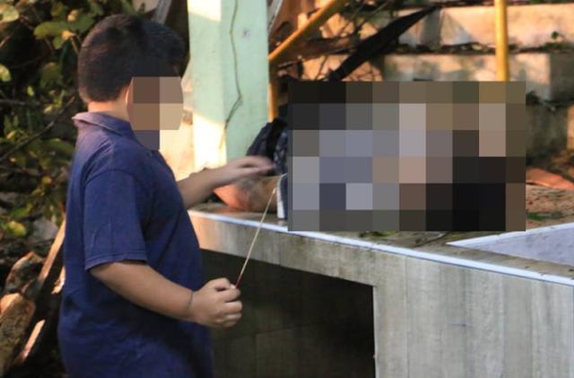 睹图|丈夫在妻子葬礼上被大树压死，6岁儿子接连失去父母成了孤儿