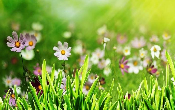 [运势]六月底，运势走高，收入大涨，贵人八方来，业绩突飞猛进的属相