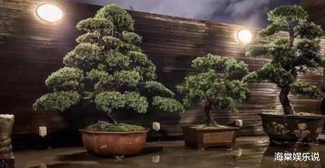郭碧婷▲郭碧婷的这一波操作真绝了！向太都无力回应，网友：坐等婚变实锤
