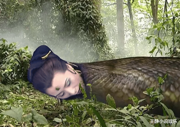 还记得《西游记》里的大蟒蛇吗?本以为是道具,如今才知是何物!