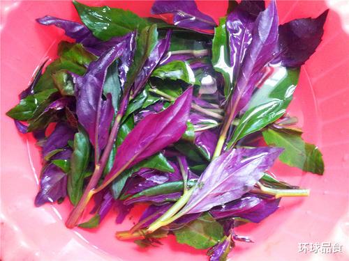 辣椒|藏在身边“补血高手”就是它，每天炒一盘，补血养血，脸色更红润