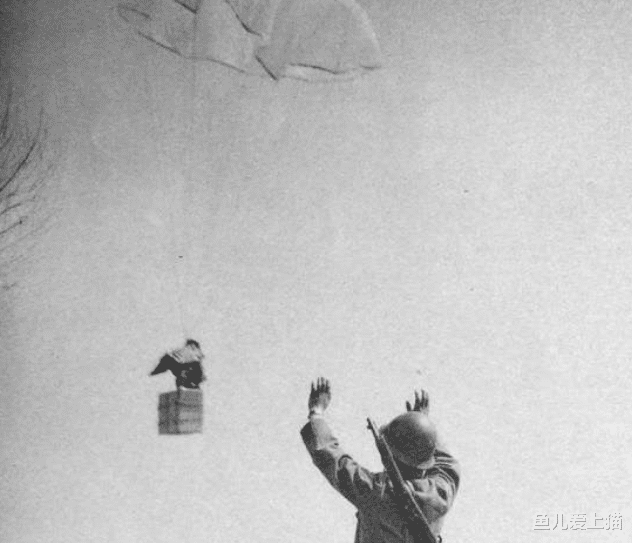 『日军』抗日战场上最危险的动物，一旦发现宁可不杀鬼子，也要先干掉它