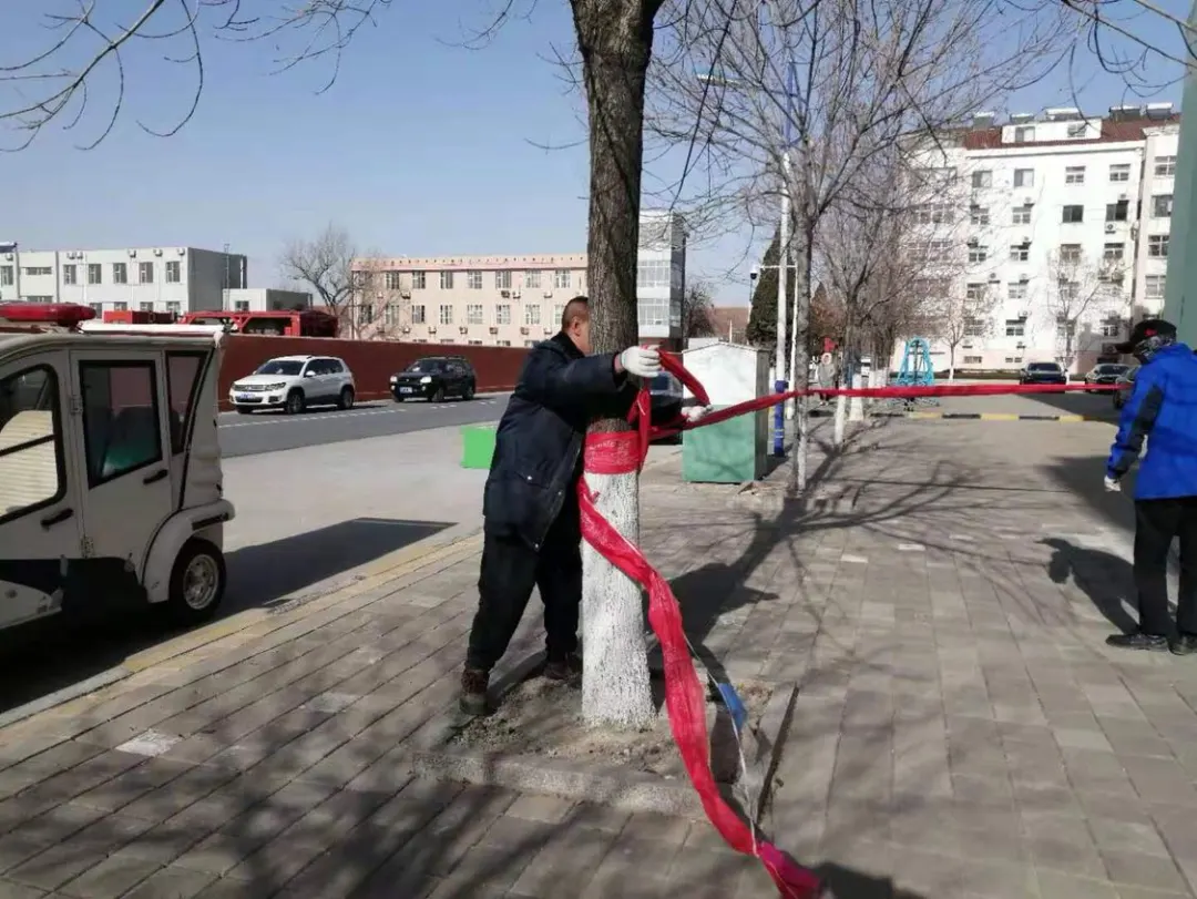 今朝看东营 寒潮来势汹汹，公服人与您温暖同行