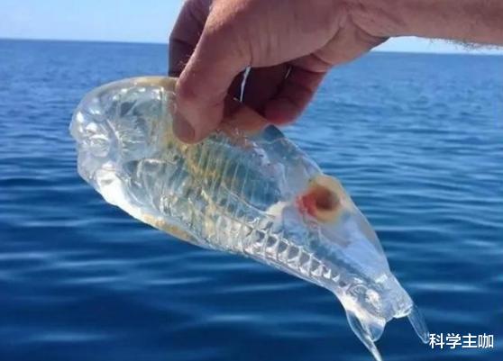 |10张图让你知道,大自然的力量有多强大,人类有多渺小!