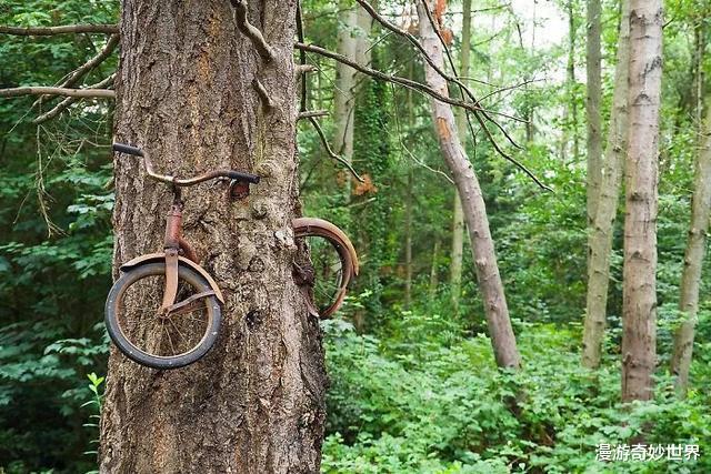 【】30个被人类遗忘的角落,遭遇大自然的反噬!