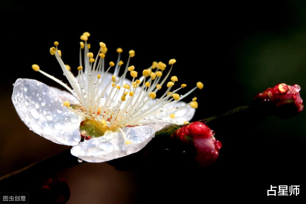 「」（周运）APP_6月15日至21日星座运势：花开花落几春风