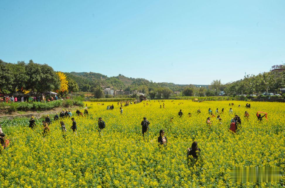 花都|花都，起飞！