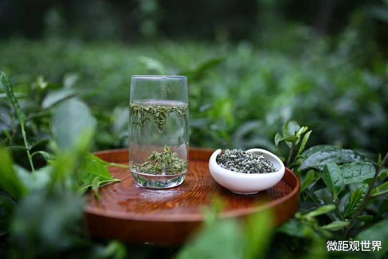 糖尿病|绿茶“最忌讳”先放茶叶再倒水！想要茶味香浓，只需这样做！