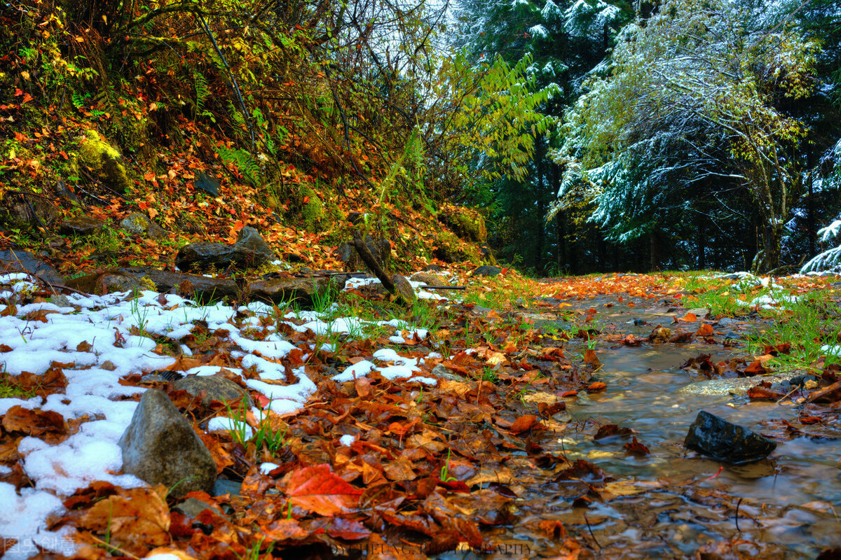 川西|丹巴断道，色达关闭，2020秋季川西大环线最新线路规划