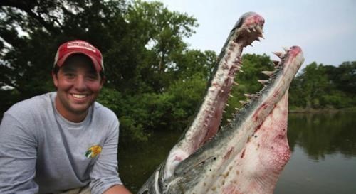 |美国“第一猛鱼”在我国却难以生存，甚至被老乡做成鱼干