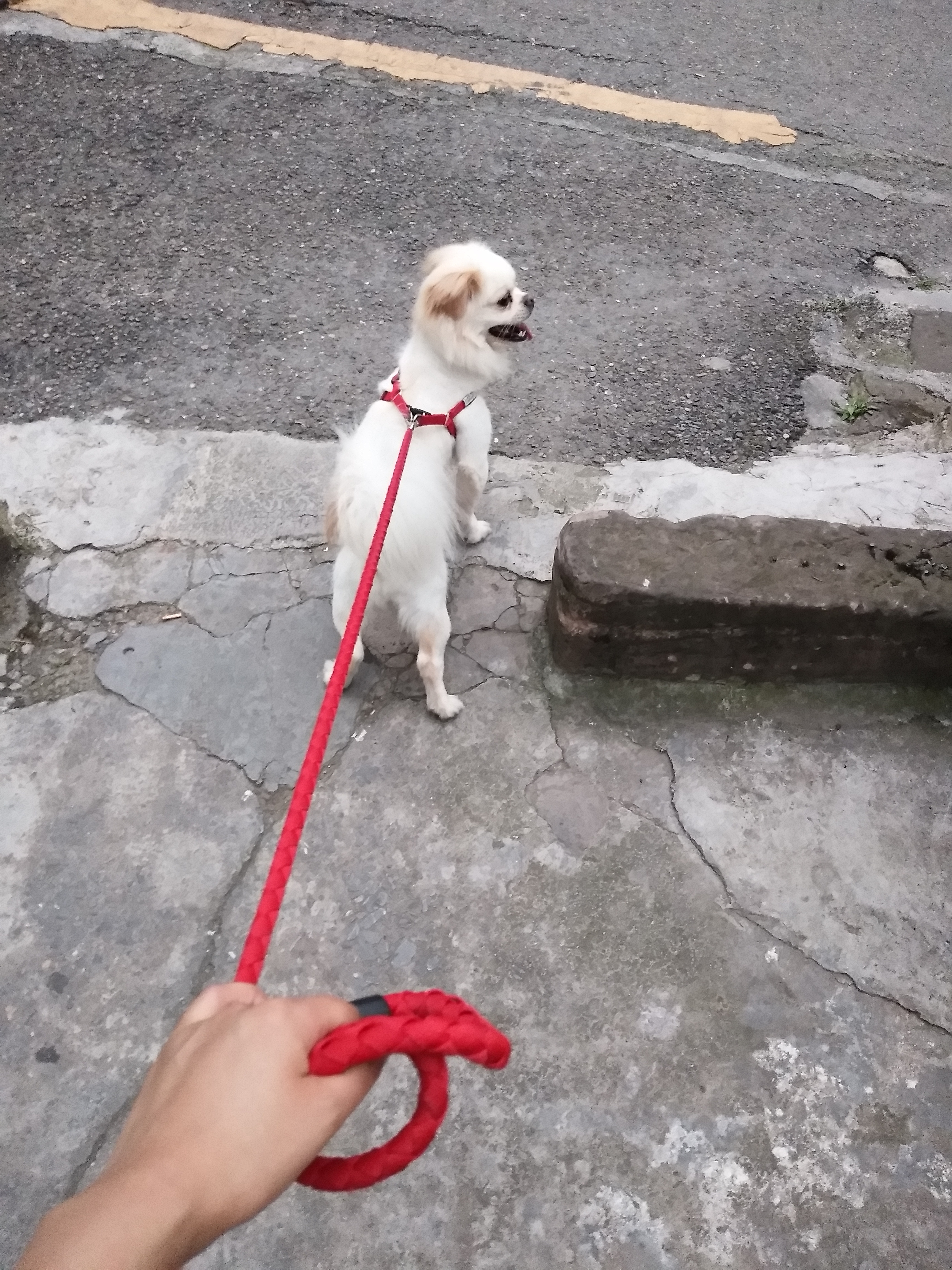 暴雨|为什么男人那么爱钓鱼?怎么都搞不懂,求解惑!