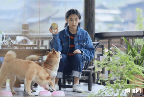 #彭昱畅#《向往4》录制在即，彭昱畅率先抵达蘑菇屋，这一季注定留有遗憾