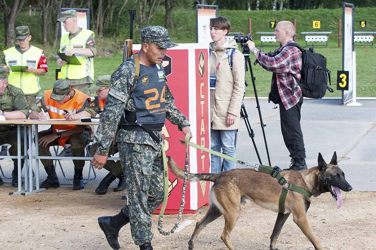 【军犬】军犬退役后都何去何从呢？美国最无情，唯有中国最感人