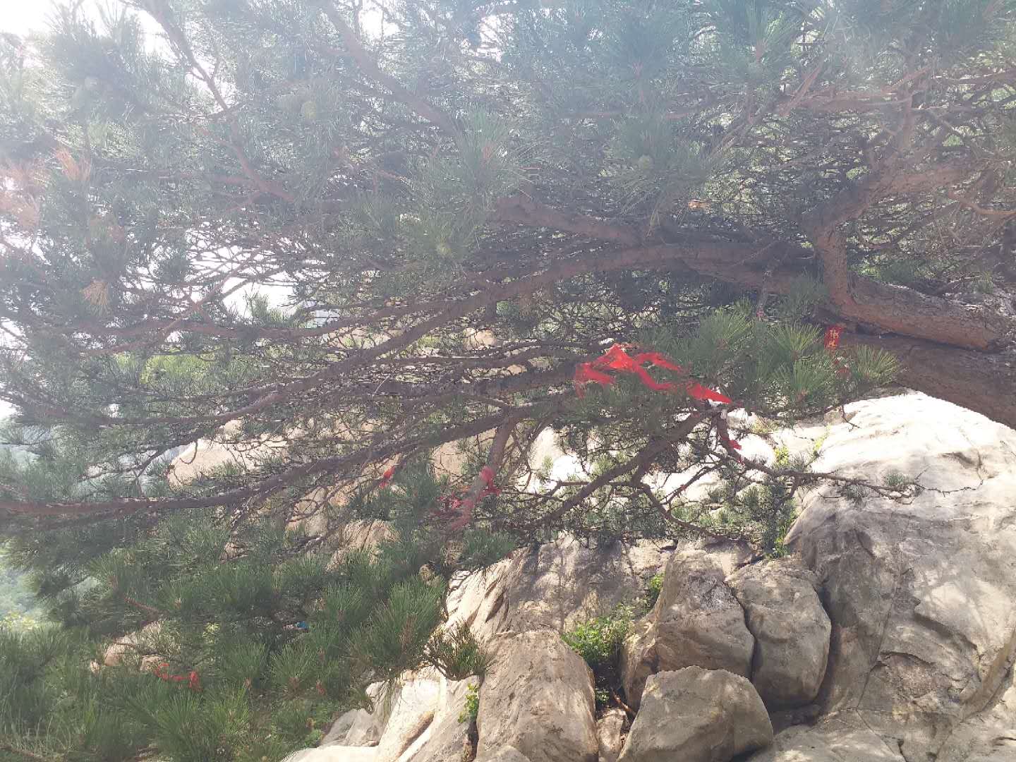 自然风光|泰山西麓三景观,旷险奇绝!没到过这儿,都不好意思说登过泰山!