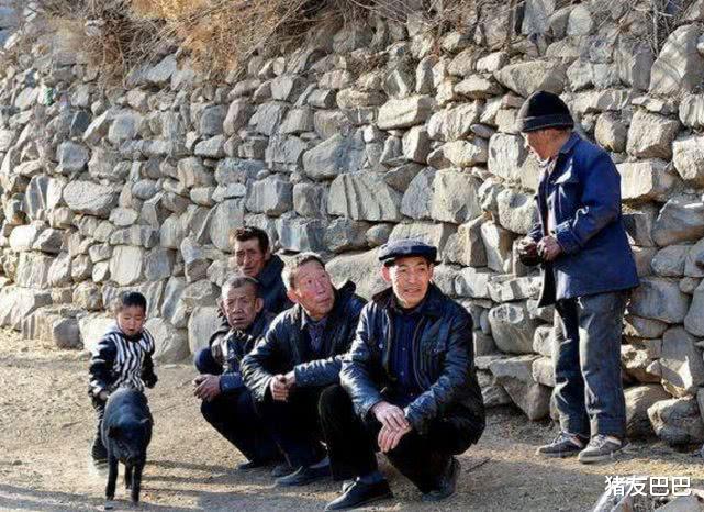 『』姑表还是姨表“亲”,众说纷纭!老农概括三个字,立判亲疏!