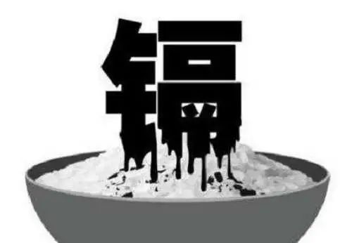 重金属|食品科普之重金属篇——杀人不见血的镉