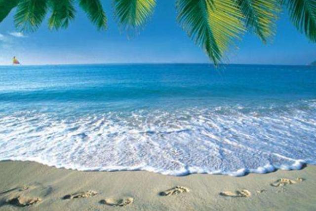 【物价】三亚旅游业遭到特大冲击,不仅游客不愿前往,就连当地人也搬走了