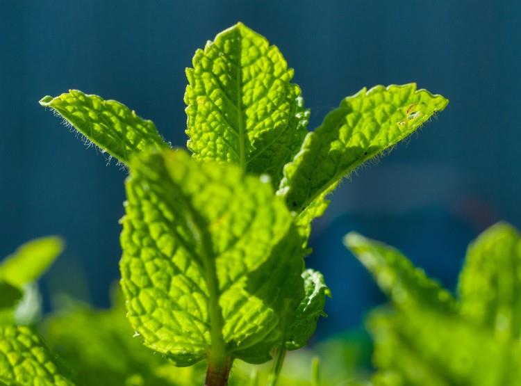 处女座|七天后，十里桃花，真爱将至，旧情不散，与旧爱再相聚的四大星座