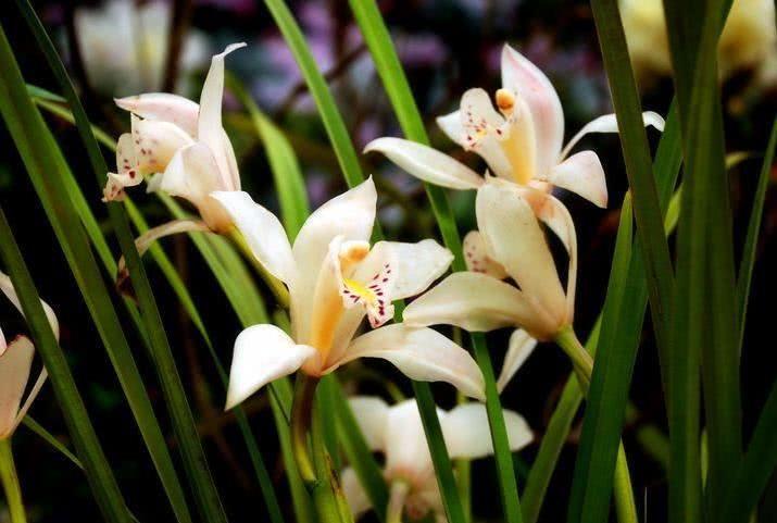 生肖|10月开始，财源广进，财帛不缺，咸鱼翻身的4大生肖