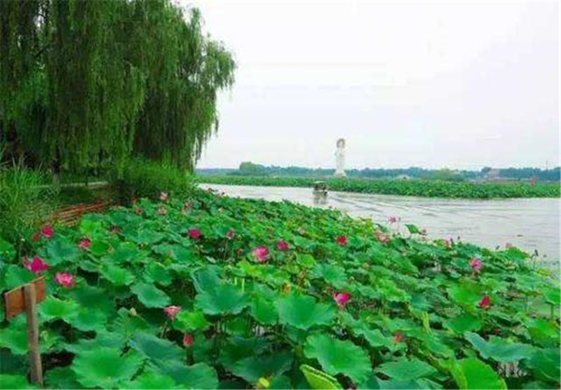 白洋淀|最“作死”的景点，恨不得连空气都收费，从前程似锦到无人问津