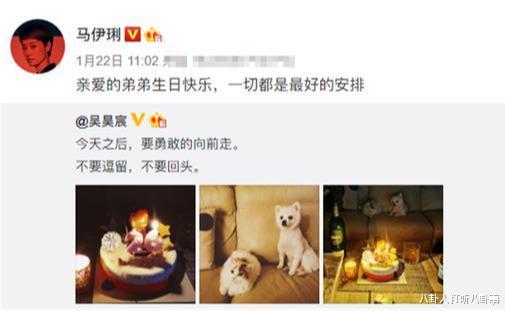 马伊琍|马伊琍与90后男星暧昧？其实被拍的远不止这些，聚会都趴人胸口了